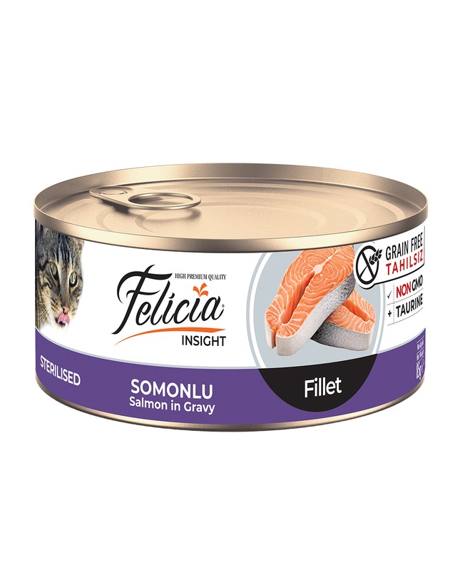 Kedi Kumu Fiyatları 2026 – En İyi Kedi Kumları