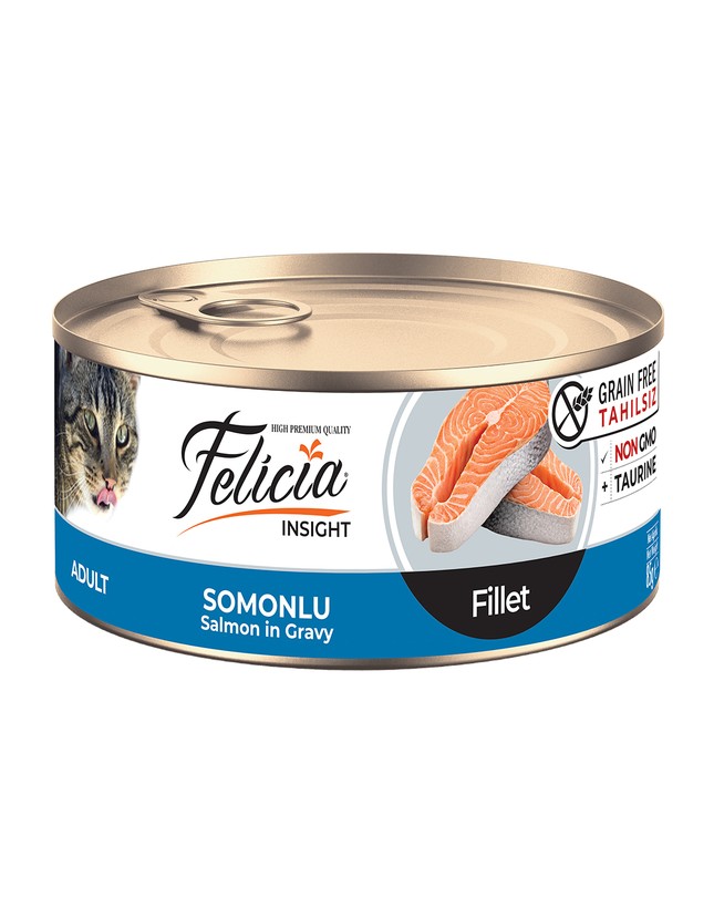 Kedi Kumu Fiyatları 2026 – En İyi Kedi Kumları