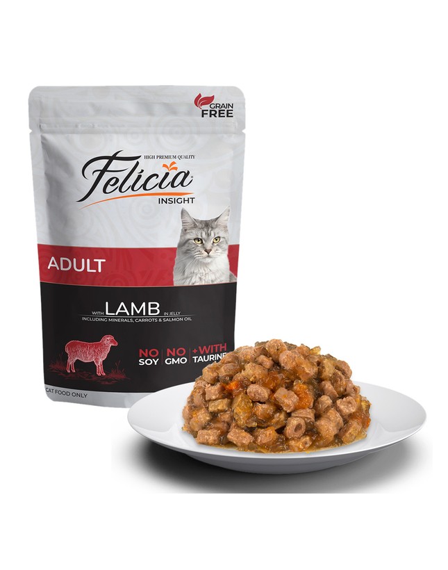 Kedi Kumu Fiyatları 2026 – En İyi Kedi Kumları