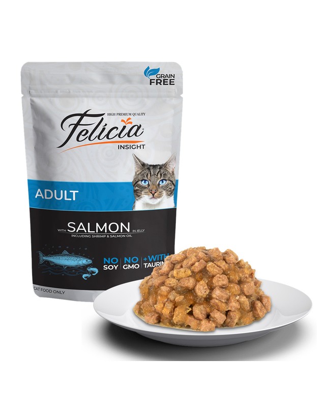 Kedi Kumu Fiyatları 2026 – En İyi Kedi Kumları