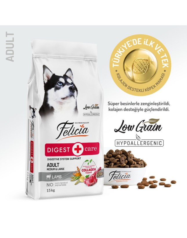 Kedi Kumu Fiyatları 2026 – En İyi Kedi Kumları