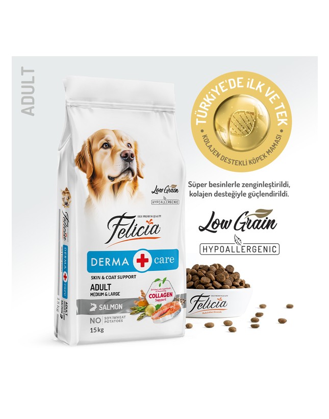 Kedi Kumu Fiyatları 2026 – En İyi Kedi Kumları