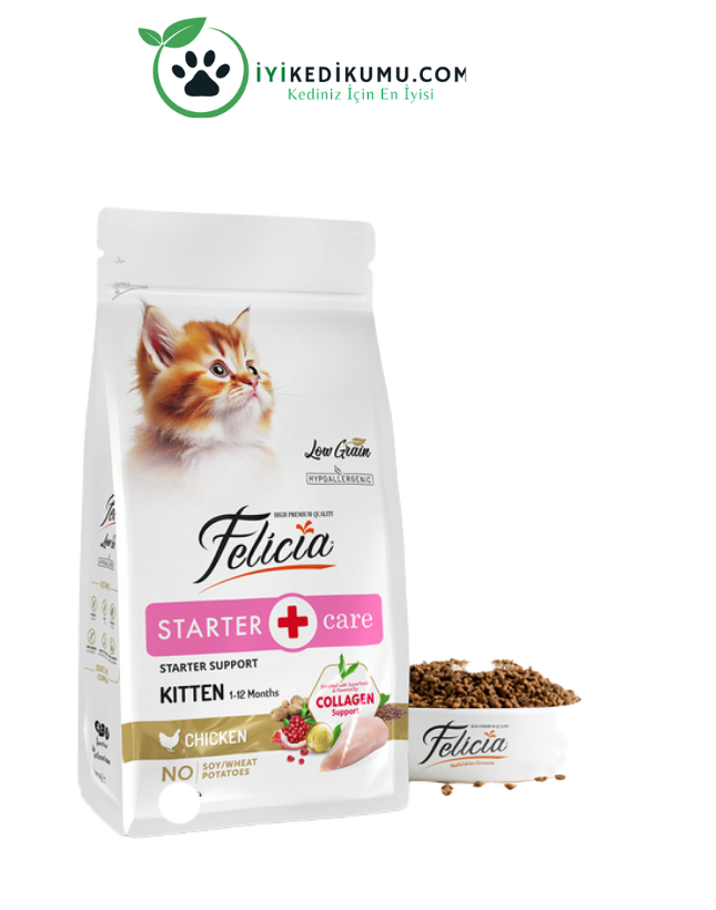 Kedi Kumu Fiyatları 2026 – En İyi Kedi Kumları