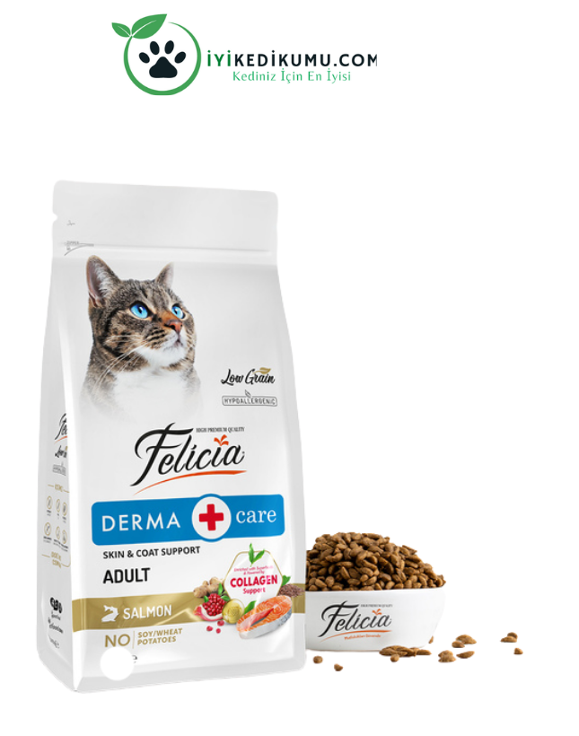 Kedi Kumu Fiyatları 2026 – En İyi Kedi Kumları