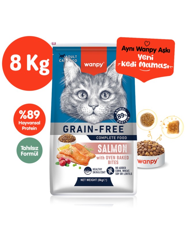 Kedi Kumu Fiyatları 2026 – En İyi Kedi Kumları