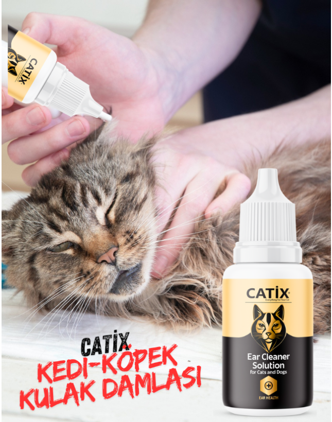 iyikedikumu >Kedi Kumu Patili dostlar için tertemiz bir dünya