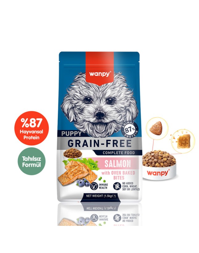 Kedi Kumu Fiyatları 2026 – En İyi Kedi Kumları