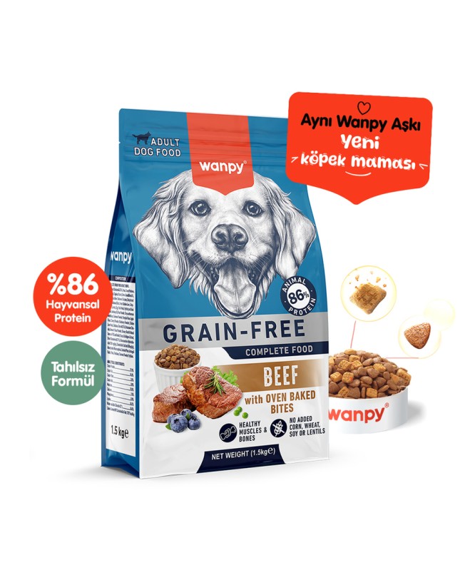 Kedi Kumu Fiyatları 2026 – En İyi Kedi Kumları