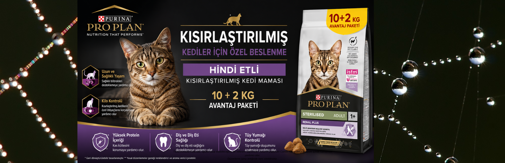 kedi kumu