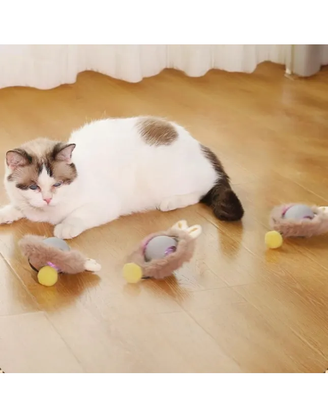 Kedi Kumu Fiyatları 2026 – En İyi Kedi Kumları