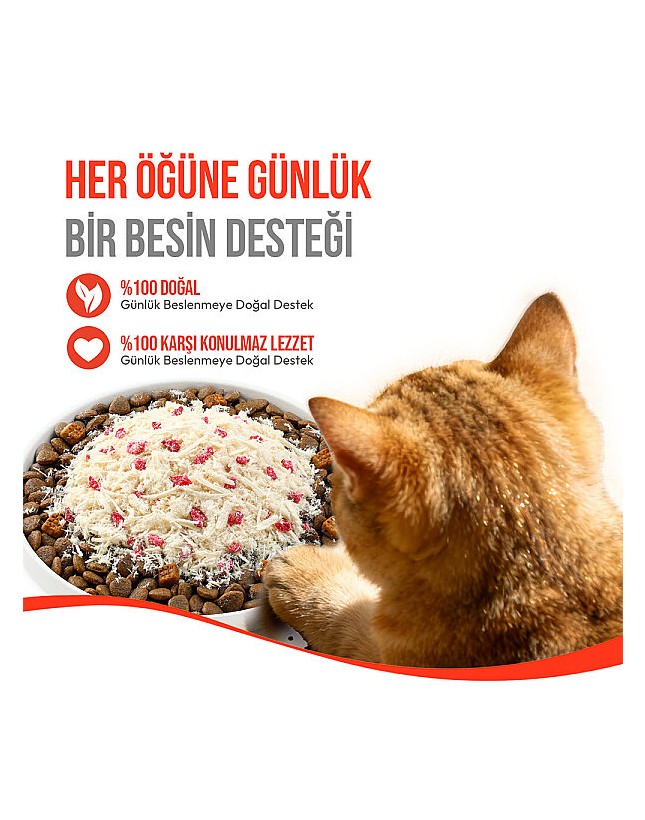 Kedi Kumu Fiyatları 2026 – En İyi Kedi Kumları