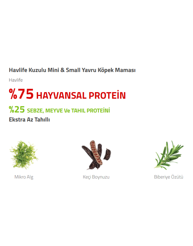 İyi Kedi Kumu | Kedi Kumu, Kedi Maması ve Evcil Hayvan Ürünleri