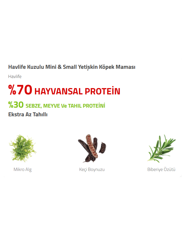 İyi Kedi Kumu | Kedi Kumu, Kedi Maması ve Evcil Hayvan Ürünleri