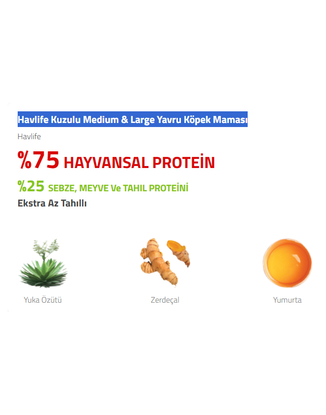 İyi Kedi Kumu | Kedi Kumu, Kedi Maması ve Evcil Hayvan Ürünleri