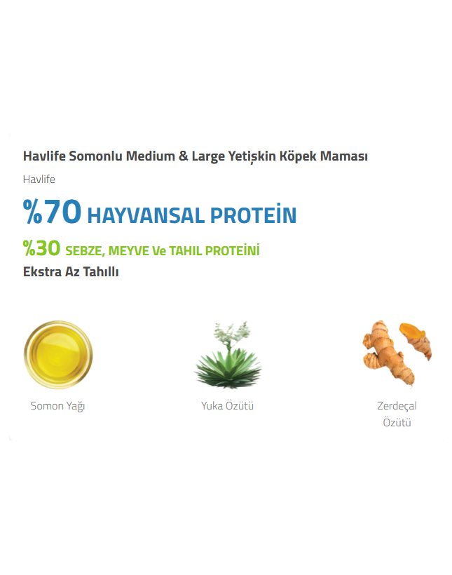 İyi Kedi Kumu | Kedi Kumu, Kedi Maması ve Evcil Hayvan Ürünleri