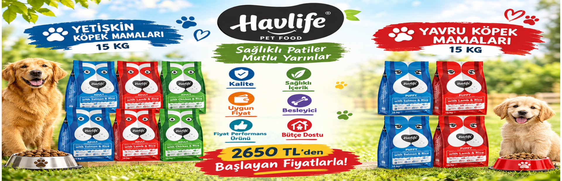 Havlife
