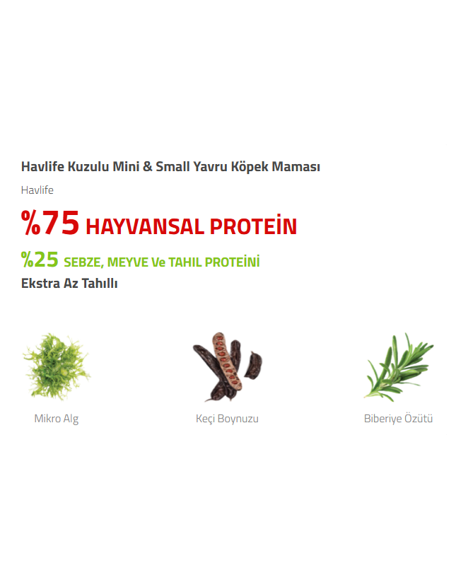İyi Kedi Kumu | Kedi Kumu, Kedi Maması ve Evcil Hayvan Ürünleri