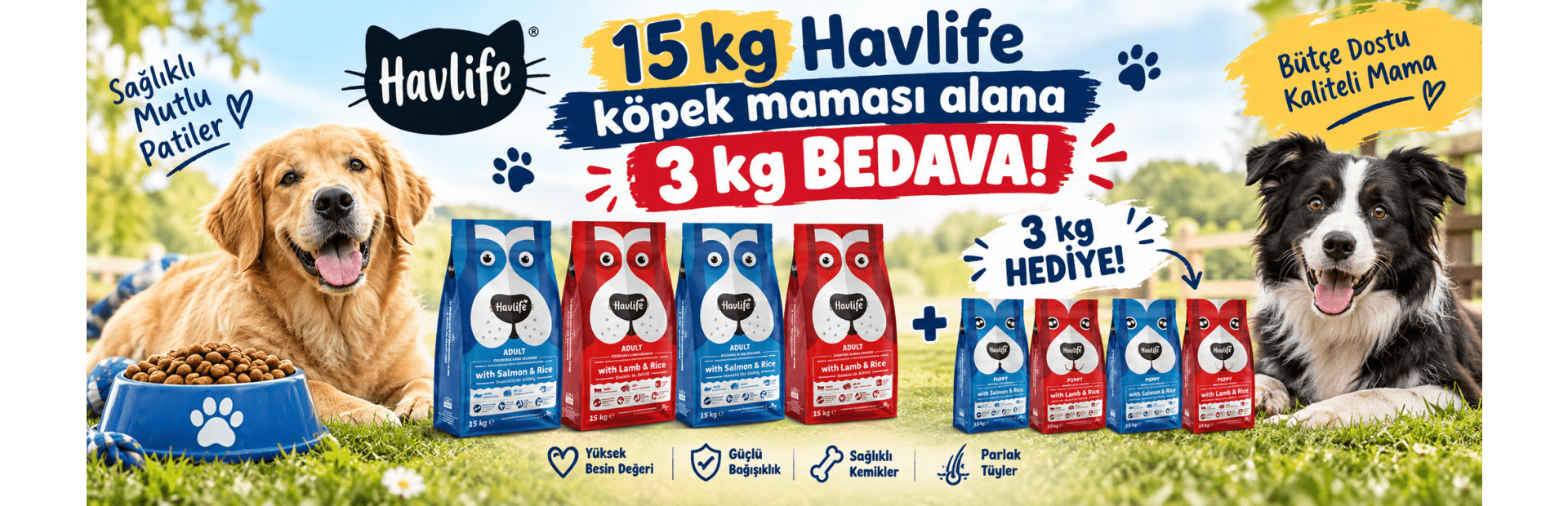 havlife