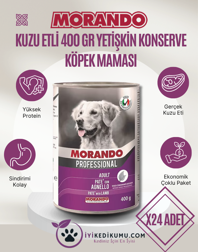 iyikedikumu >Kedi Kumu Patili dostlar için tertemiz bir dünya