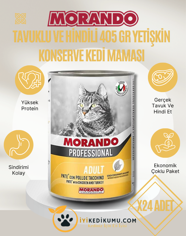 iyikedikumu >Kedi Kumu Patili dostlar için tertemiz bir dünya