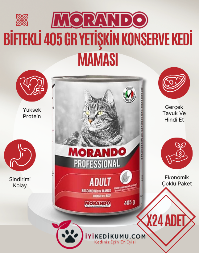 iyikedikumu >Kedi Kumu Patili dostlar için tertemiz bir dünya