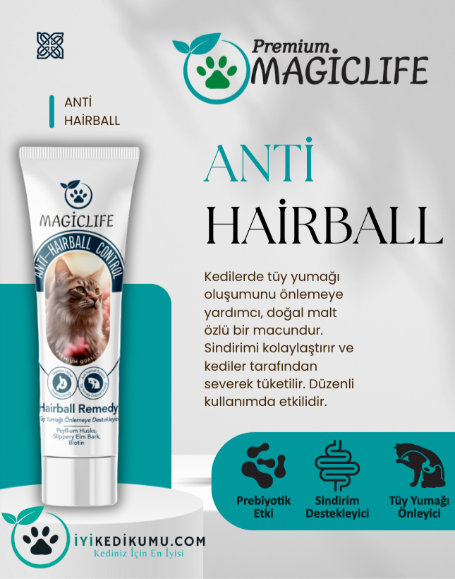 iyikedikumu >Kedi Kumu Patili dostlar için tertemiz bir dünya
