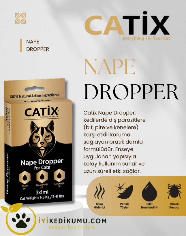 iyikedikumu >Kedi Kumu Patili dostlar için tertemiz bir dünya