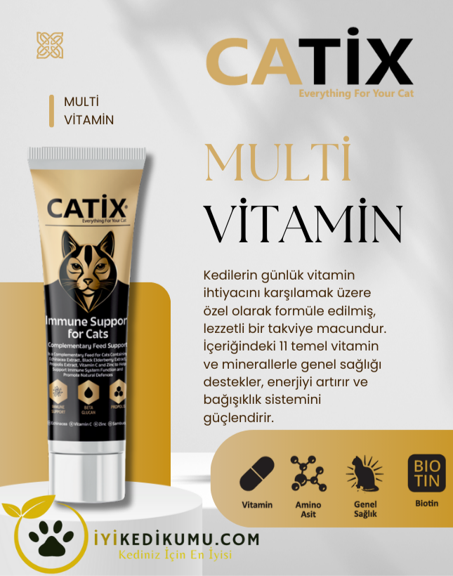 iyikedikumu >Kedi Kumu Patili dostlar için tertemiz bir dünya