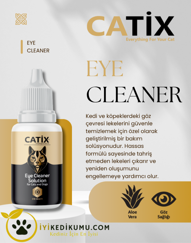 iyikedikumu >Kedi Kumu Patili dostlar için tertemiz bir dünya