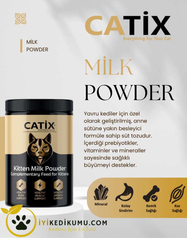 iyikedikumu >Kedi Kumu Patili dostlar için tertemiz bir dünya