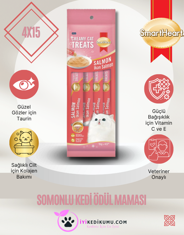 iyikedikumu >Kedi Kumu Patili dostlar için tertemiz bir dünya