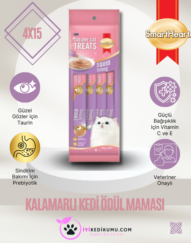 iyikedikumu >Kedi Kumu Patili dostlar için tertemiz bir dünya