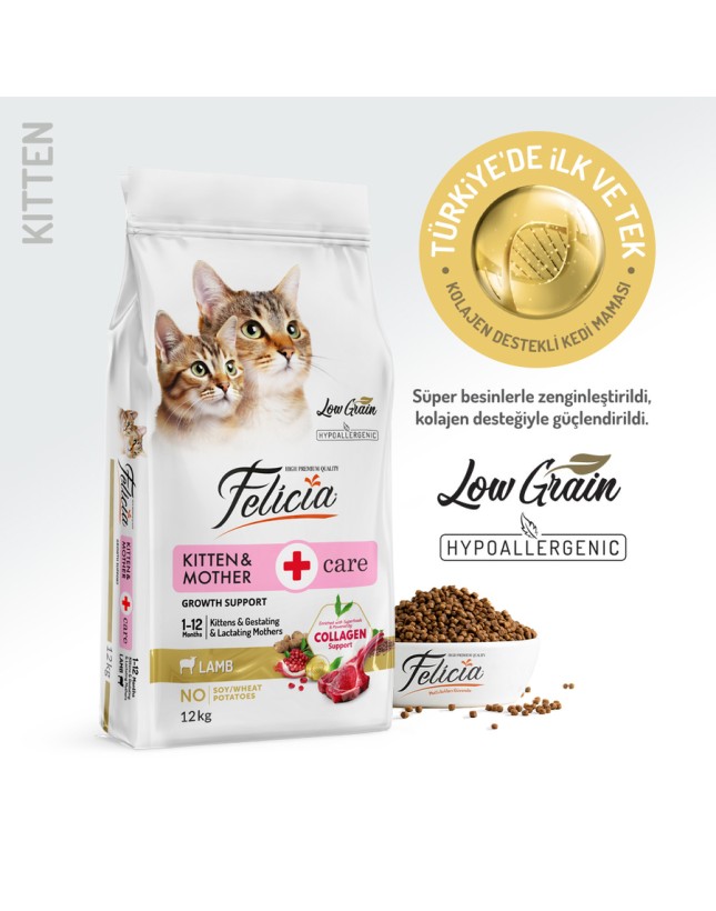 iyikedikumu >Kedi Kumu Patili dostlar için tertemiz bir dünya en iyi kedi kumu