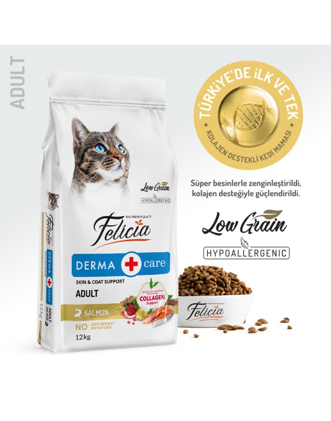 iyikedikumu >Kedi Kumu Patili dostlar için tertemiz bir dünya en iyi kedi kumu