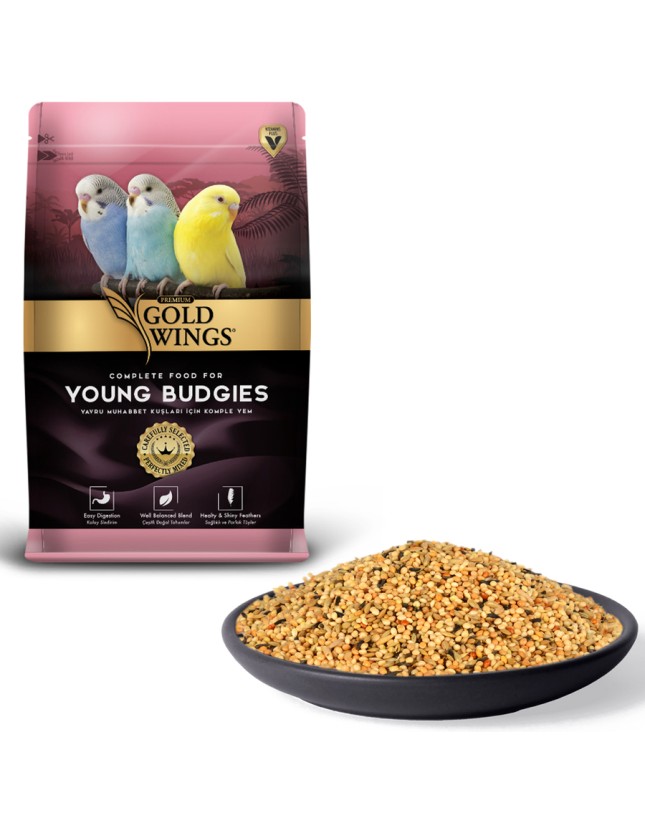 Kedi Kumu Fiyatları 2026 – En İyi Kedi Kumları