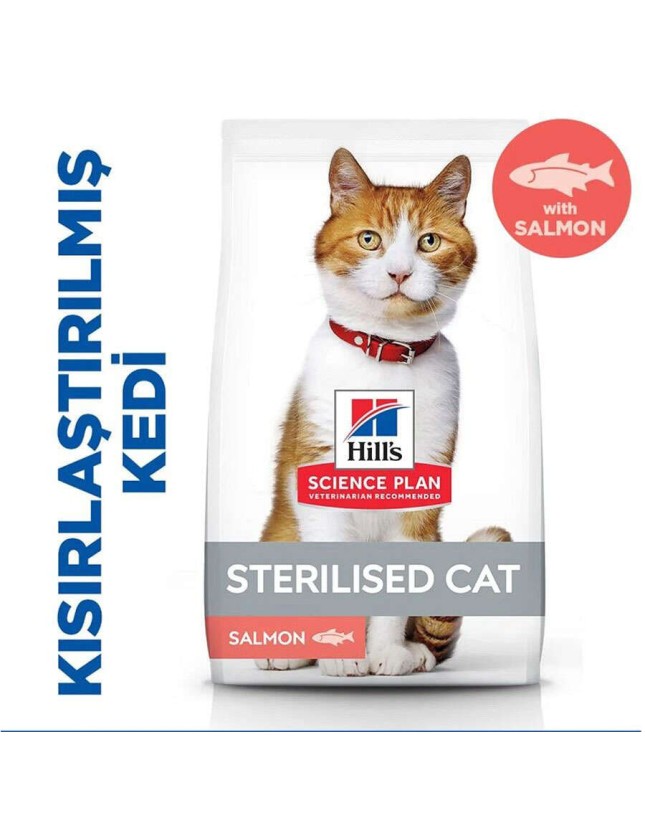 Kedi Kumu Fiyatları 2026 – En İyi Kedi Kumları