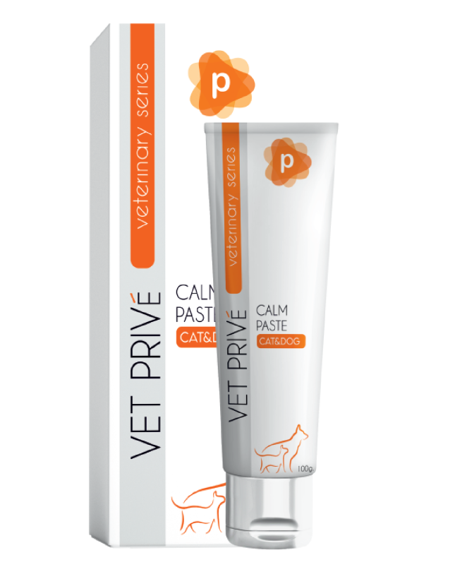 Kedi Kumu Fiyatları 2026 – En İyi Kedi Kumları