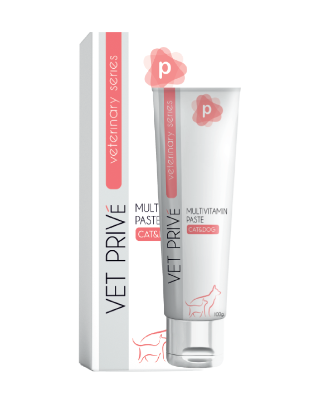 Kedi Kumu Fiyatları 2026 – En İyi Kedi Kumları