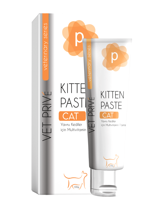 Kedi Kumu Fiyatları 2026 – En İyi Kedi Kumları