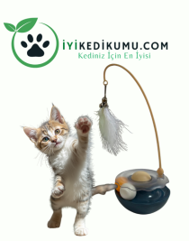 Less Trail kedi oyuncağı Catnipli