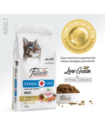 Felicia 12 Kg Kolajenli Somonlu Az Tahıllı Yetişkin Kedi maması Ambalajı hasarlı Ürün