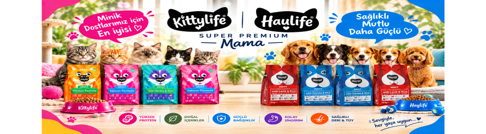 havlife kitty life