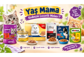 Kedi - Köpek Yaş Mamalar