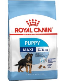 Royal Canin Maxi Puppy Büyük Irk Yavru Köpek Maması 15kg