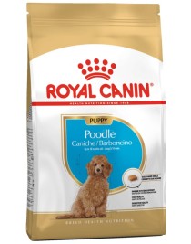 Royal Canin Poodle Irkı Yavru Köpek Maması 3kg