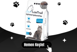 LESS Trail 20 Lt Ince Tane Aktif Karbon Kedi Kumu