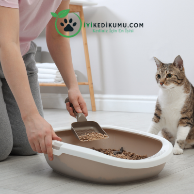 10 Litre Kedi Kumu: Evcil Dostunuz İçin İdeal Tercih