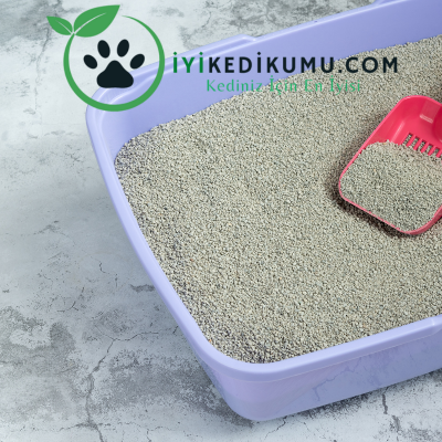 kedi kumu kokusuyla başa çıkma yöntemleri (1).png