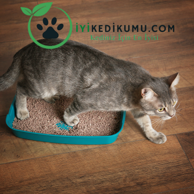 kedi kumu kokusuyla başa çıkma yöntemleri (4).png