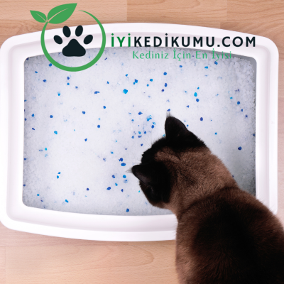kedi kumu kokusuyla başa çıkma yöntemleri (9).png